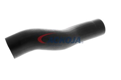 FURTUN EAR SUPRAALIMENTARE ACKOJA A529600 31