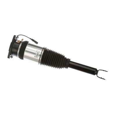 LUFTFEDERBEIN Arnott AS2968 53