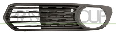 PRASCO BM1232134 Решітка радіатора  для BMW 1 (Бмв 1)