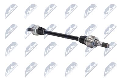 PLANETARA NTY NPWAR042 31