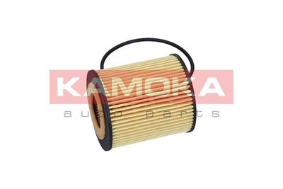 Oil Filter F110201