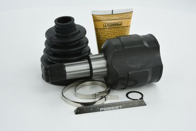 SET ARTICULATIE PLANETARA FEBEST 2011SEB 50