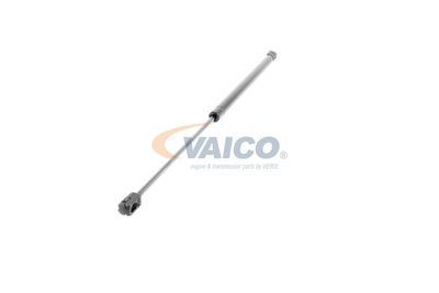 AMORTIZOR PORTBAGAJ VAICO V950184 28