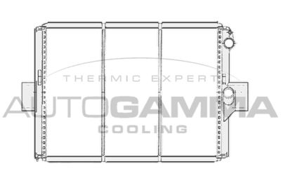 AUTOGAMMA 404056 Крышка радиатора для IVECO DAILY I c бортовой платформой/ходовая часть