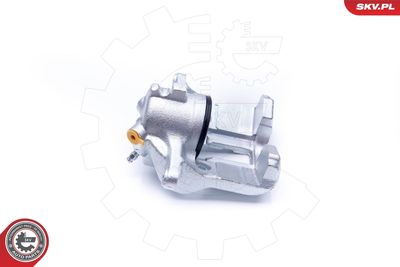 Brake Caliper 42SKV761