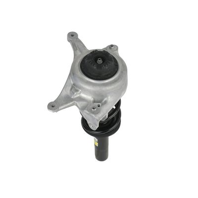 AMORTIZOR Arnott SK3842 60