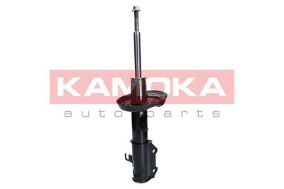 Shock Absorber 2000048