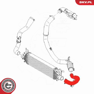 FURTUN EAR SUPRAALIMENTARE ESEN SKV 54SKV008 3