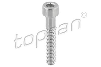 винт, спирачен апарат TOPRAN 110 708
