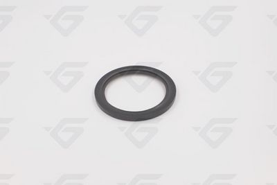 семеринг, колянов вал HUTCHINSON 701082