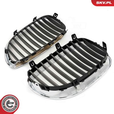 GRILA RADIATOR ESEN SKV 66SKV168 2