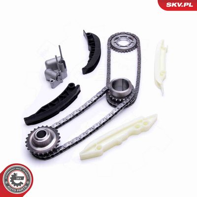 CHIT LANT DE DISTRIBUTIE ESEN SKV 21SKV167 1