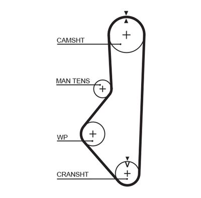 Timing Belt GATES 5149XS