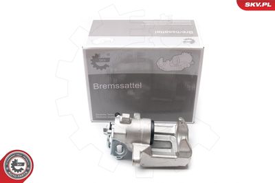 Brake Caliper 23SKV343