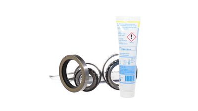 SET RULMENT ROATA SKF VKBA9074CL 20