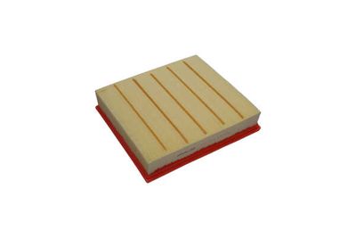 FILTRU AER AMC Filter FAF10219 22