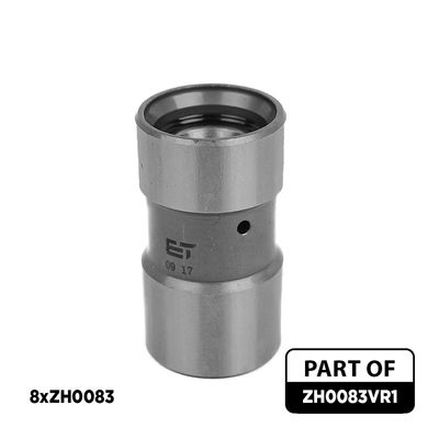 SET TACHETI SUPAPE ET ENGINETEAM ZH0083VR1 1