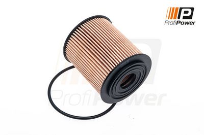 alyvos filtras 1F0141 ProfiPower