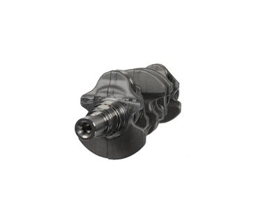 ARBORE COTIT ET ENGINETEAM HK0237 12