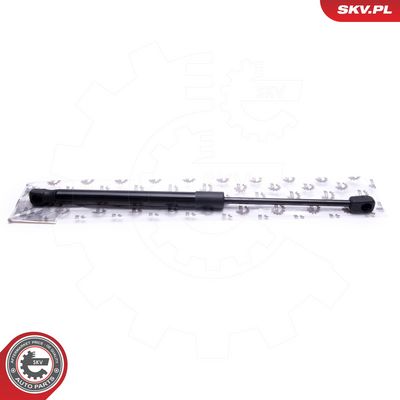 Dujinė spyruoklė, bagažinė