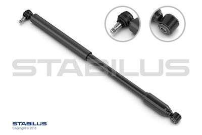 STABILUS Shock Absorber, steering 196491
