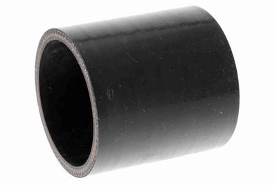 FURTUN EAR SUPRAALIMENTARE