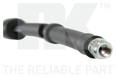 FURTUN FRANA NK 854859 2