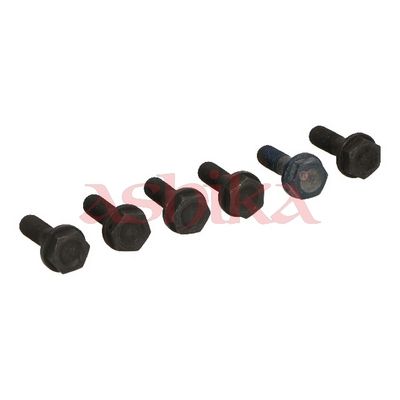 ASHIKA Schraube, Zahnkranzträger-Schwungrad