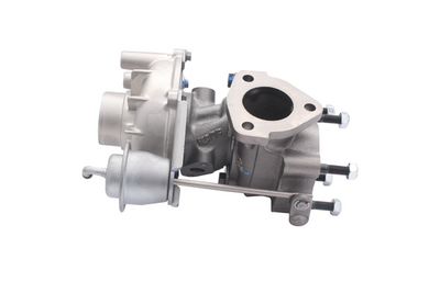 LADER AUFLADUNG WALKER 59907HPW 1