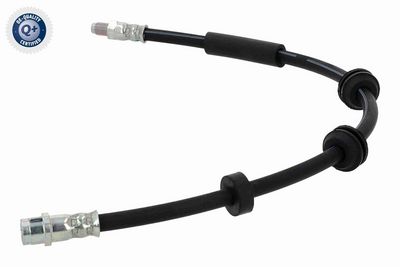 FURTUN FRANA VAICO V304748 4