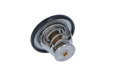 TERMOSTAT LICHID RACIRE NRF 725087 24