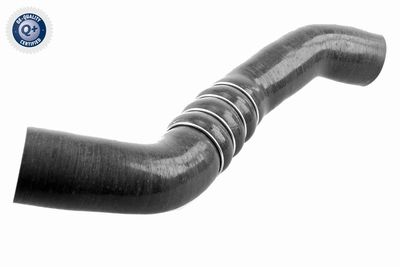 FURTUN EAR SUPRAALIMENTARE