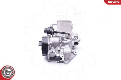 EGR Valve 14SKV153