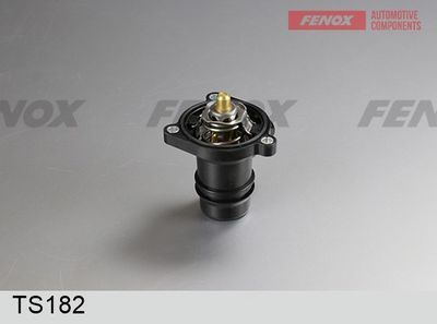 термостат, охладителна течност FENOX TS182