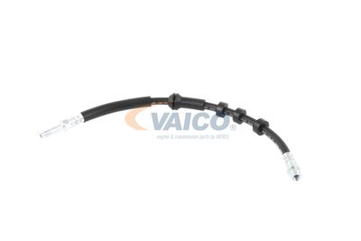 FURTUN FRANA VAICO V104209 4