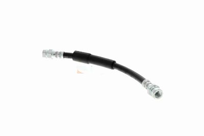 FURTUN FRANA VAICO V104141 2