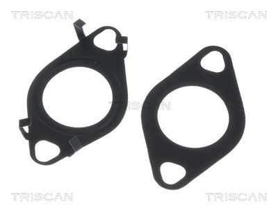 RADIATOR RECIRCULARE GAZE DE ESAPAMENT TRISCAN 881310059 2
