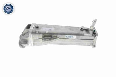 AGR-VENTIL VEMO V95630011 2