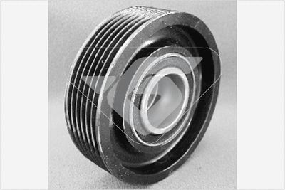 HUTCHINSON T0009 Ролик ремня генератора  для RENAULT (Рено)