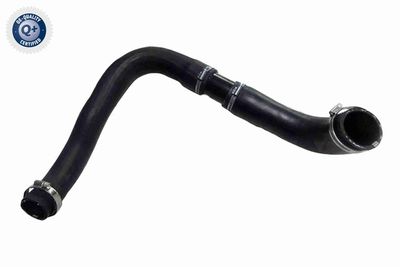 FURTUN EAR SUPRAALIMENTARE