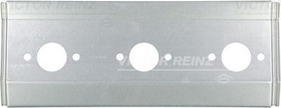Garnitura, galerie evacuare VICTOR REINZ 8002001488