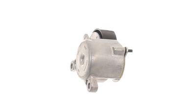 ROLA INTINZATOR CUREA TRANSMISIE SKF VKM33019 29