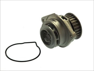 Water Pump, engine cooling D1W022TT