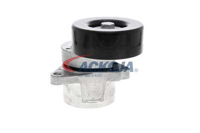 INTINZATOR CUREA CUREA DISTRIBUTIE ACKOJA A380332 43