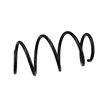 ARC SPIRAL EIBACH R23035 6