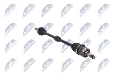 PLANETARA NTY NPWMS049 12