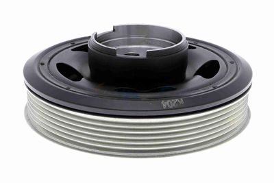 FULIE CUREA ARBORE COTIT VAICO V202416 7