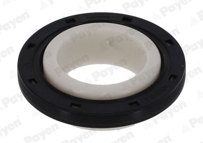 WELLENDICHTRING KURBELWELLE