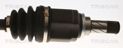 PLANETARA TRISCAN 854010538 2