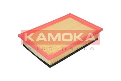 Air Filter F205501